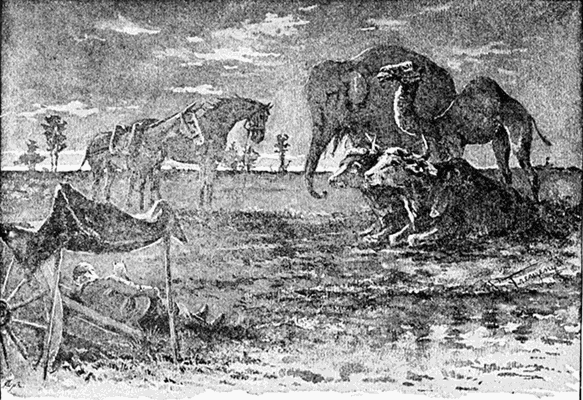 "'ANYBODY CAN BE FORGIVEN FOR BEING SCARED IN THE NIGHT,'
SAID THE TROOP-HORSE."