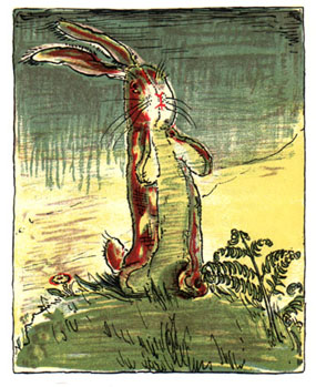 spring